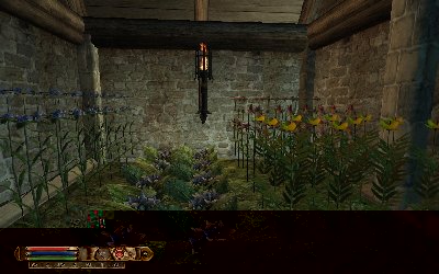 Ein fertiges Beet im Gewächshaus