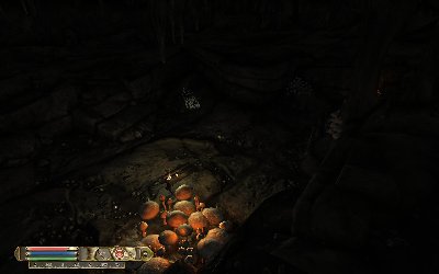 Die Pilzgrotte. Wie man sieht fehlen noch Pilze... ;)