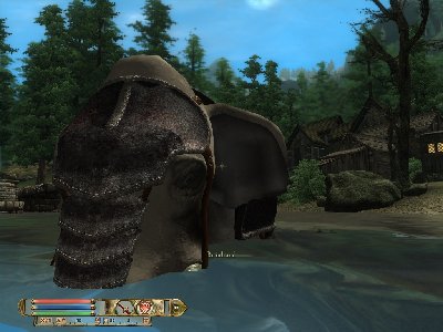 Oblivion 2010-08-31 16-58-31-46.jpeg