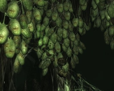 Hier platzen sie gleich alle raus