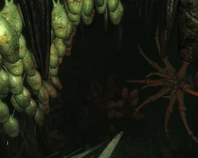 Da drück Mutti alle frischen raus