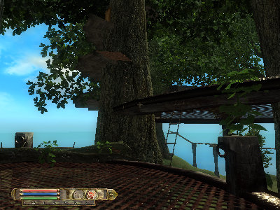 Die Hauptplattform einer meiner Baumsiedlungen mit mehreren Strickleitern.