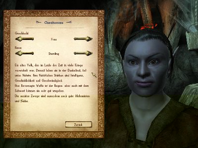 Oblivion 2011-01-31 15-02-56-98.jpg