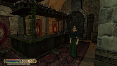 oblivion 2011-05-15 13-03-50-45.jpg