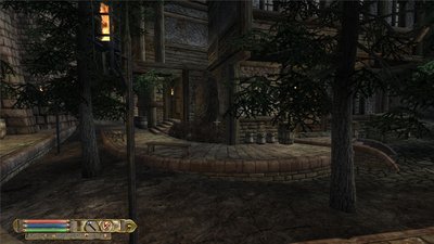 oblivion 2011-05-15 13-06-25-08.jpg