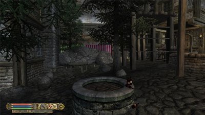 oblivion 2011-05-15 13-06-39-50.jpg