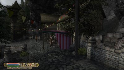 oblivion 2011-05-15 13-07-49-16.jpg