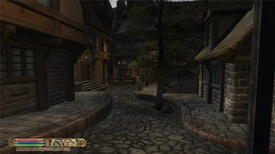 oblivion 2011-05-15 13-05-59-92.jpg