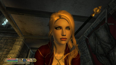 Oblivion 2011-07-11 20-12-18-42.jpg