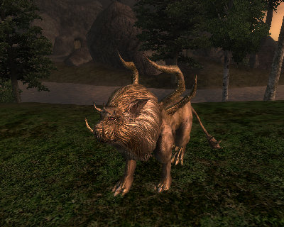 Oblivion 2010-06-29 13-18-16-48.jpg