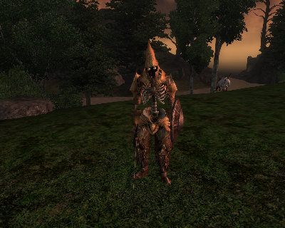 Oblivion 2010-06-30 21-51-13-73.jpg