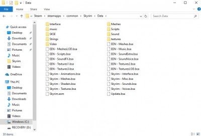 skrim data folder.jpg