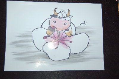 der erste testdruck überzeugt =D