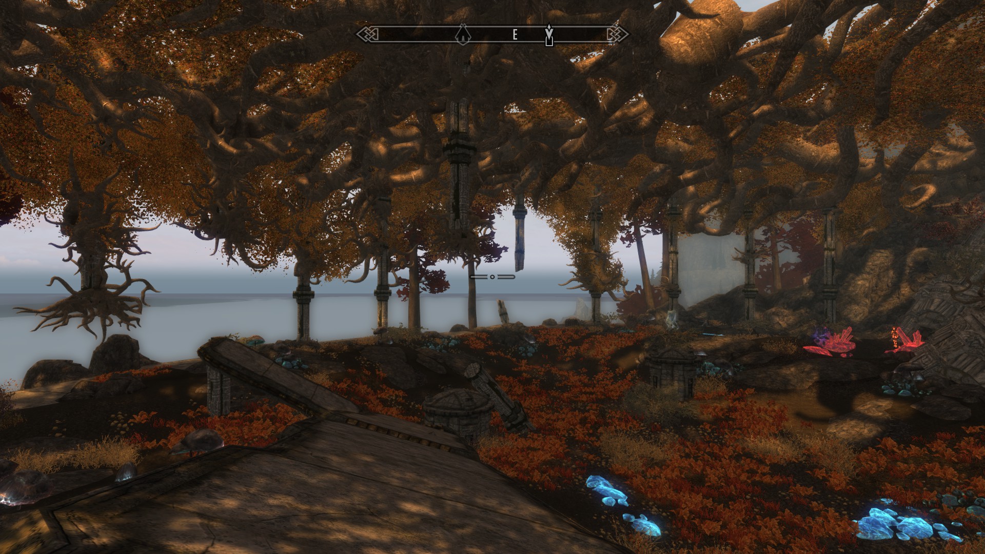 Besonderer Ort im Goldenforst