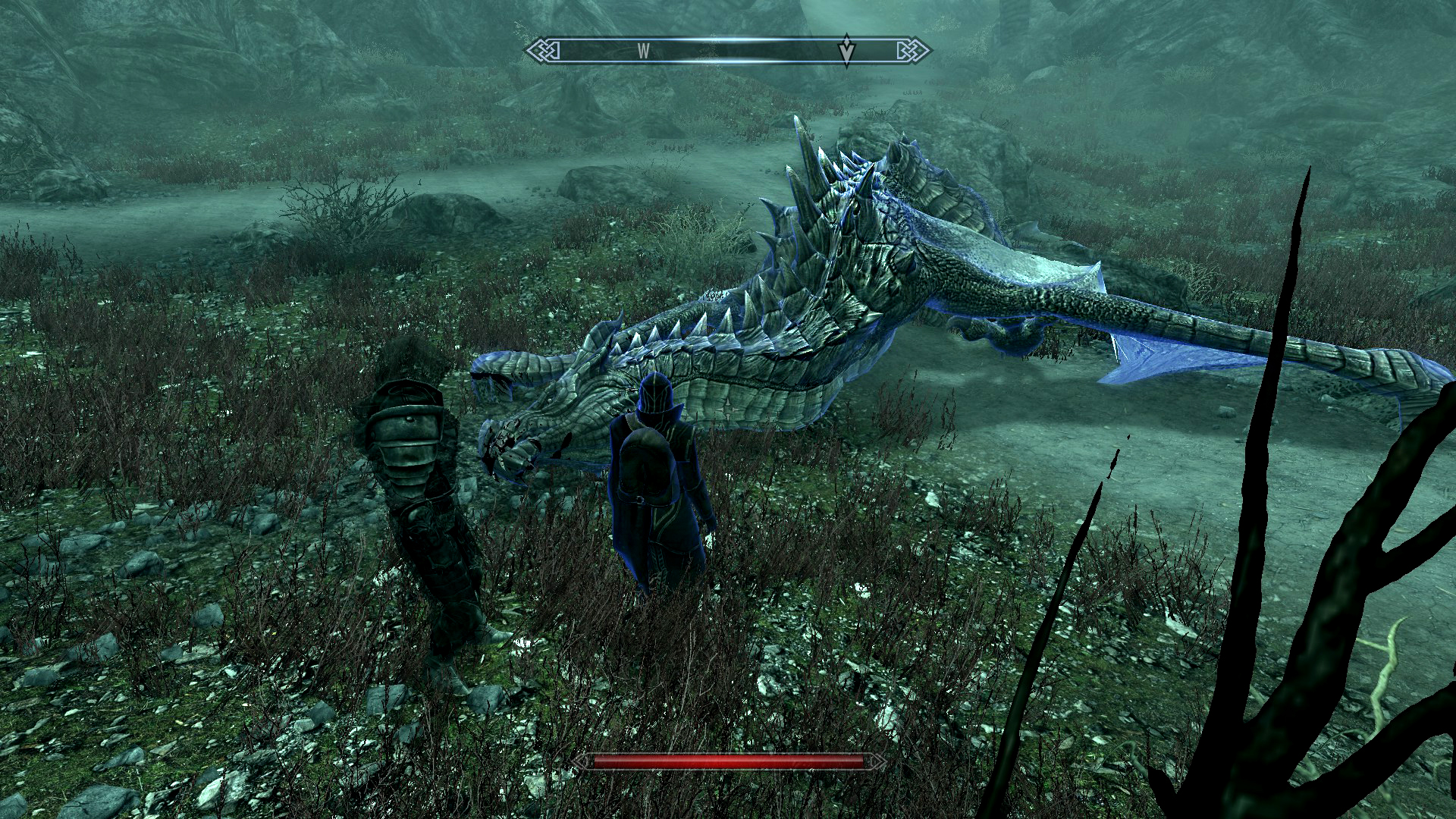 Habe meinen ersten Drachen vom Himmel geholt