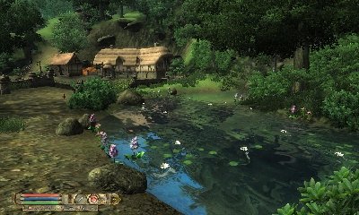 Impressionen der Harmonie, anhand des Teiches und  umgeben von Blüten und Ländlicher Atmosphäre