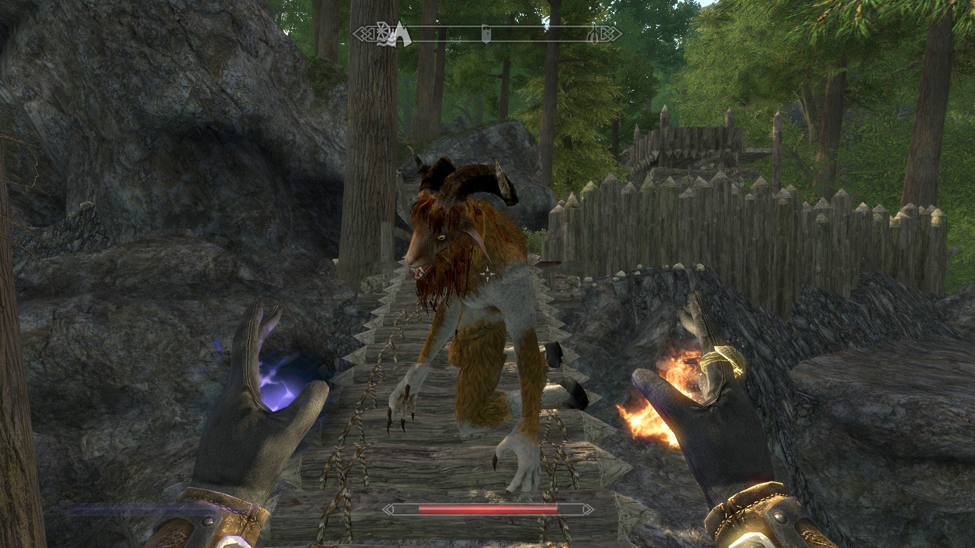 ... der nächste geht vor mir auf die Knie...