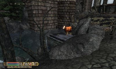 Die Kuh macht sich bereit...