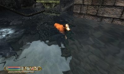 um anschließend feuchtfröhlich zu baden^^ Jaja Kühe wollen auch etwas Abkühlung im Sommer haben :P