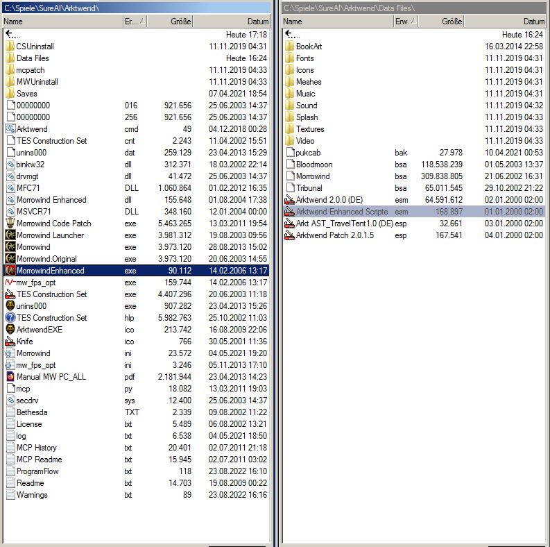 so sieht die fertige Installation aus, <br />unnötige esm-Dateien wurden gelöscht